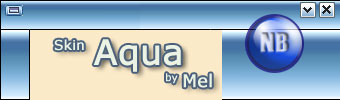 Skin Aqua