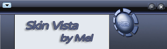 Skin Vista